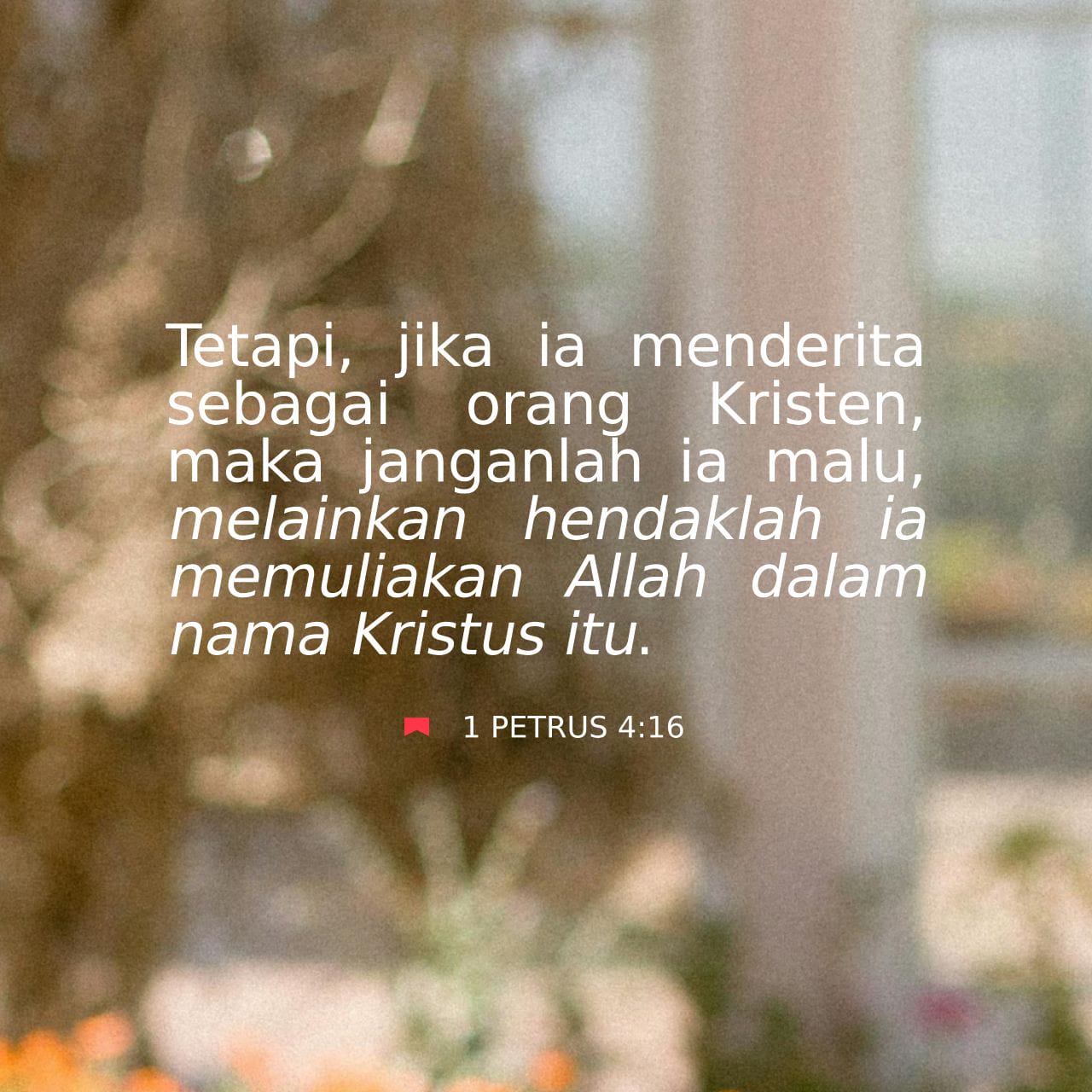 Dumba uchun jinsiy jel