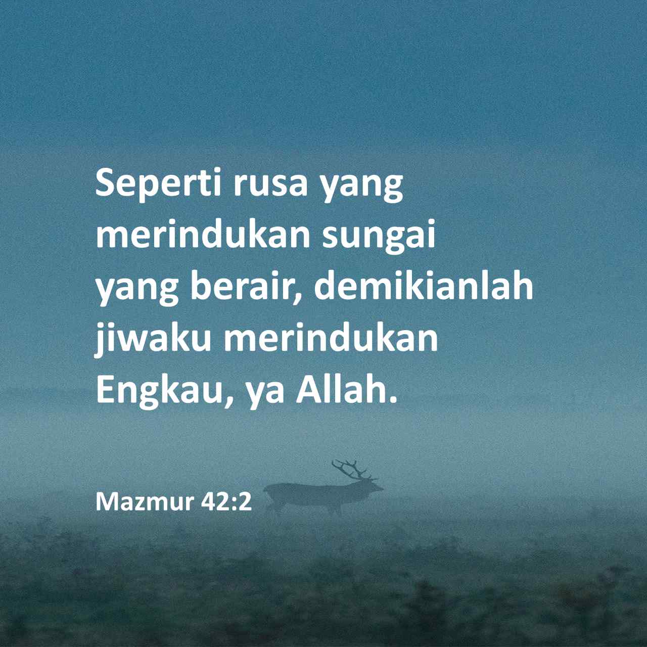 Vulvaning shaxsiy fotosuratlari