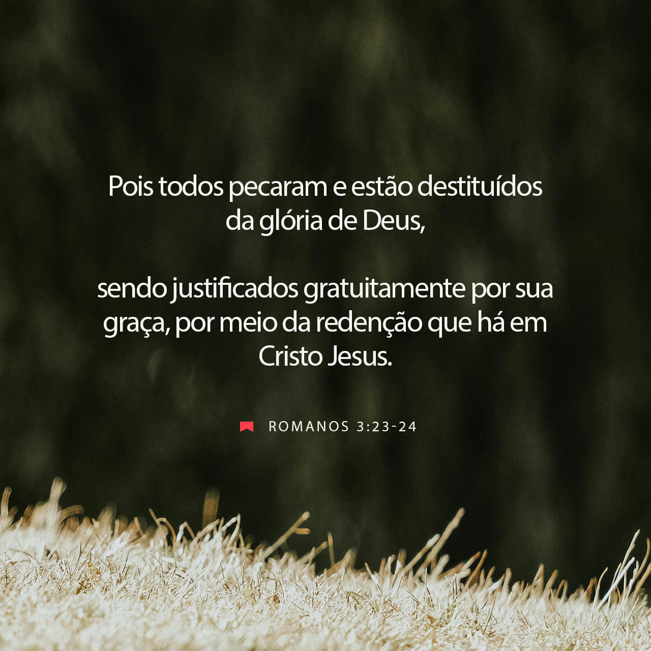 Romanos 3:23 (ARA) - pois todos pecaram e carecem da gló | YouVersion
