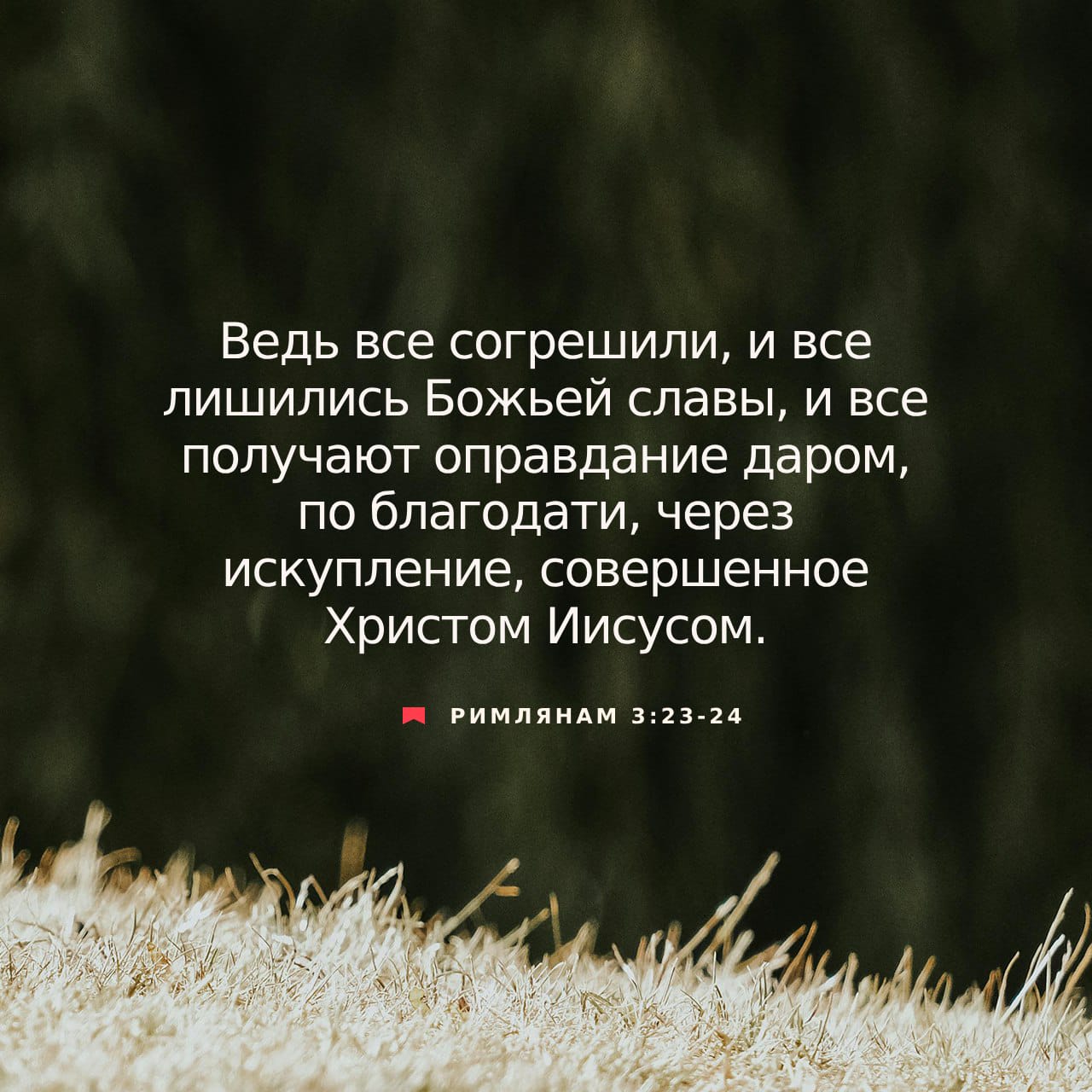 Жалаңаш Анжелика Кенова