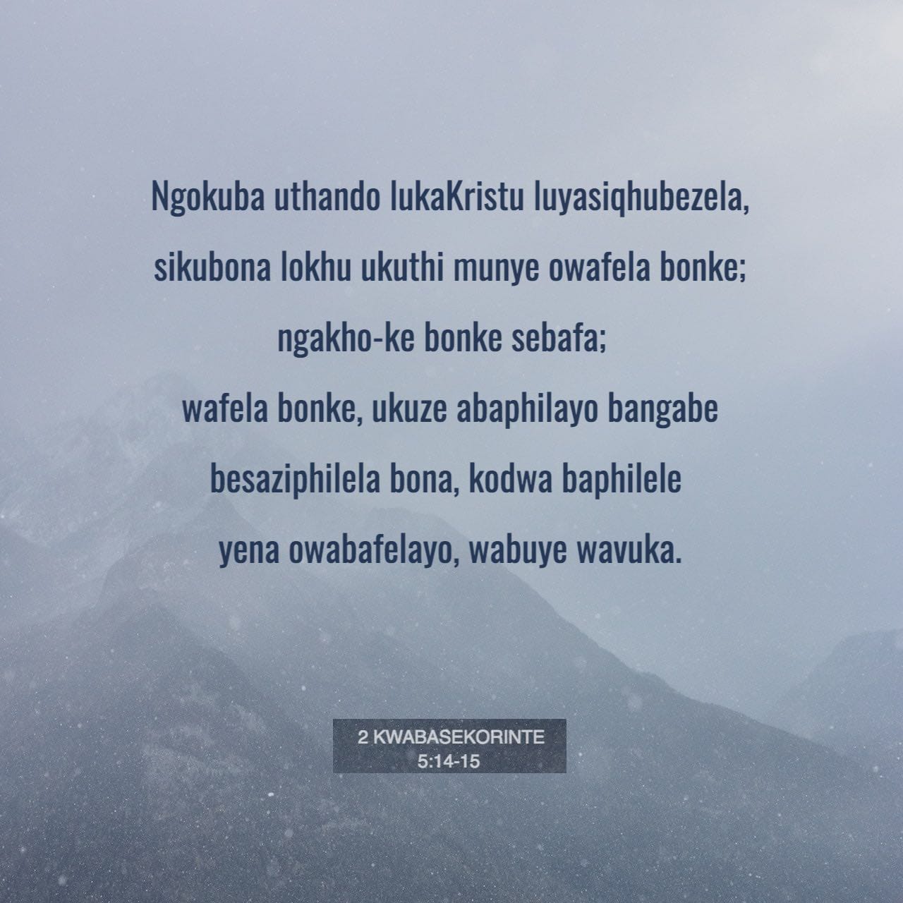 Yalangoch kokraklar KVNda korsatildi. Retro porno film Passion Hotel