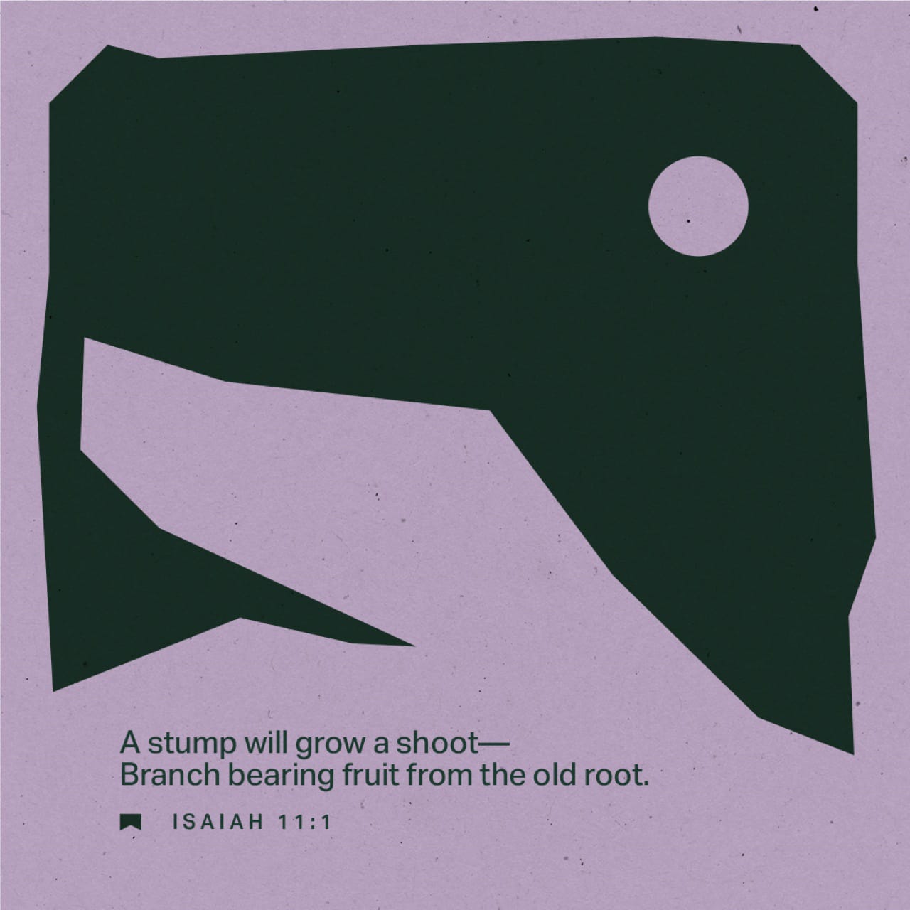 Isaiah 11:1 Then a Shoot (the Messiah) will spring from the stock of Jesse [David’s father],
And a Branch from his roots will bear fruit. [Is 4:2; Matt 2:23; Rev 5:5; 22:16] | Amplified Bible (AMP) | Download The Bible App Now