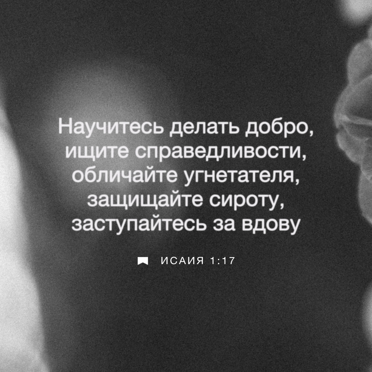 шаш үлгісі бар киска