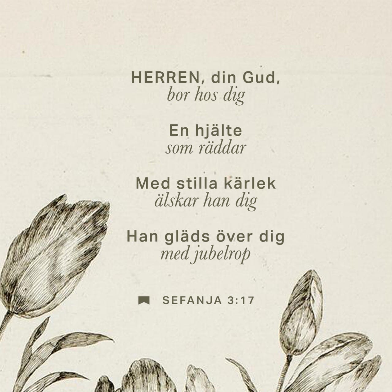 Porno gozallik yomon