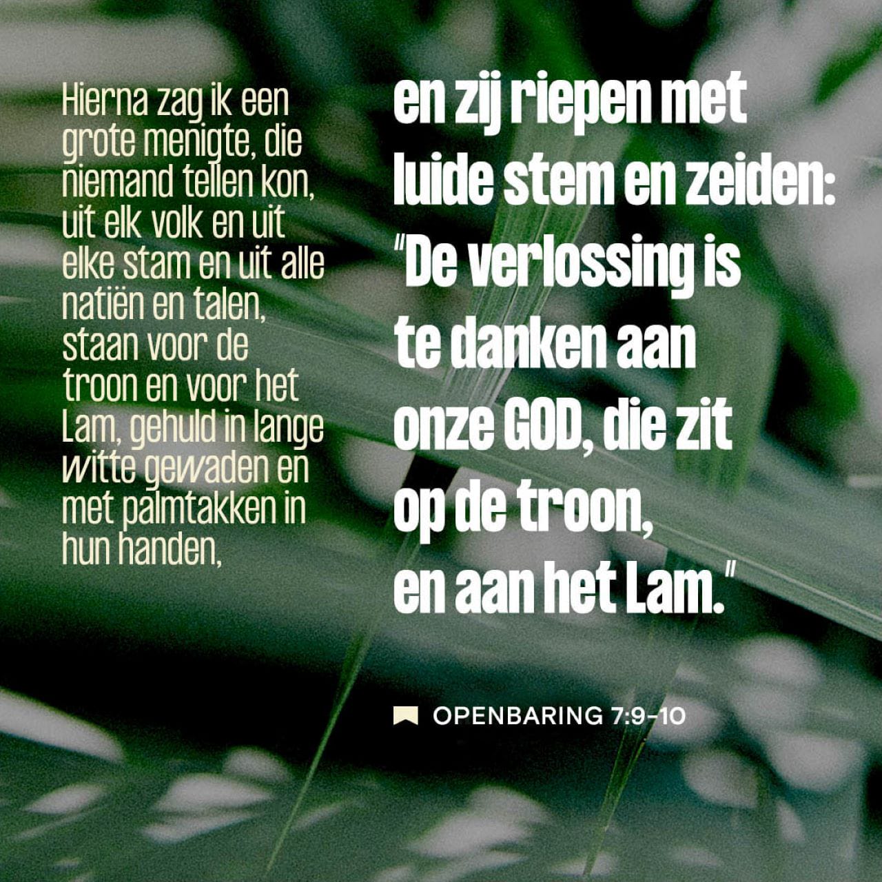 Oyoqlarning shaxsiy fotosurati