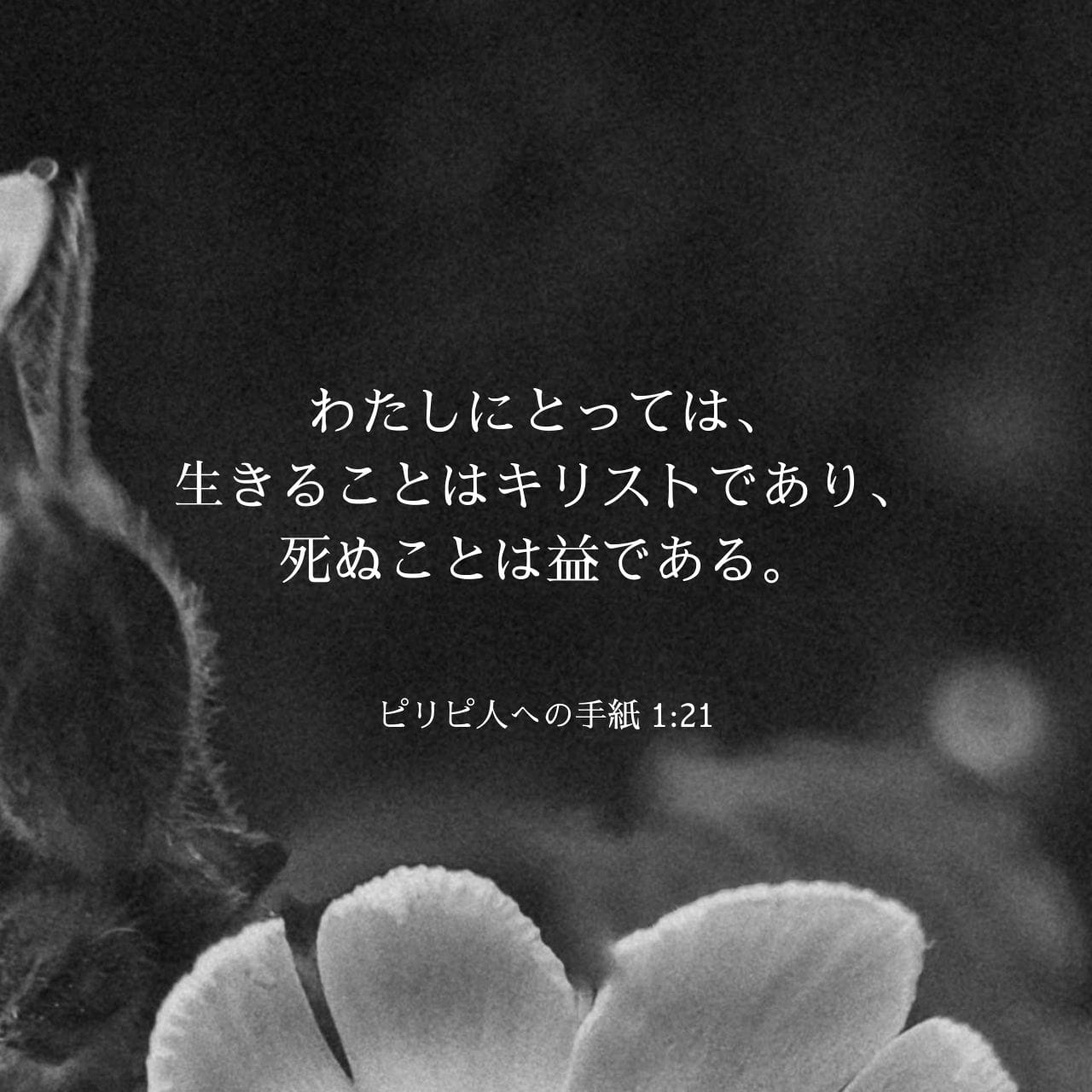 『ピリピ人への手紙』ヴェルナー・ド・ボール著 いのちのことば社 書籍 | いのちのことば社