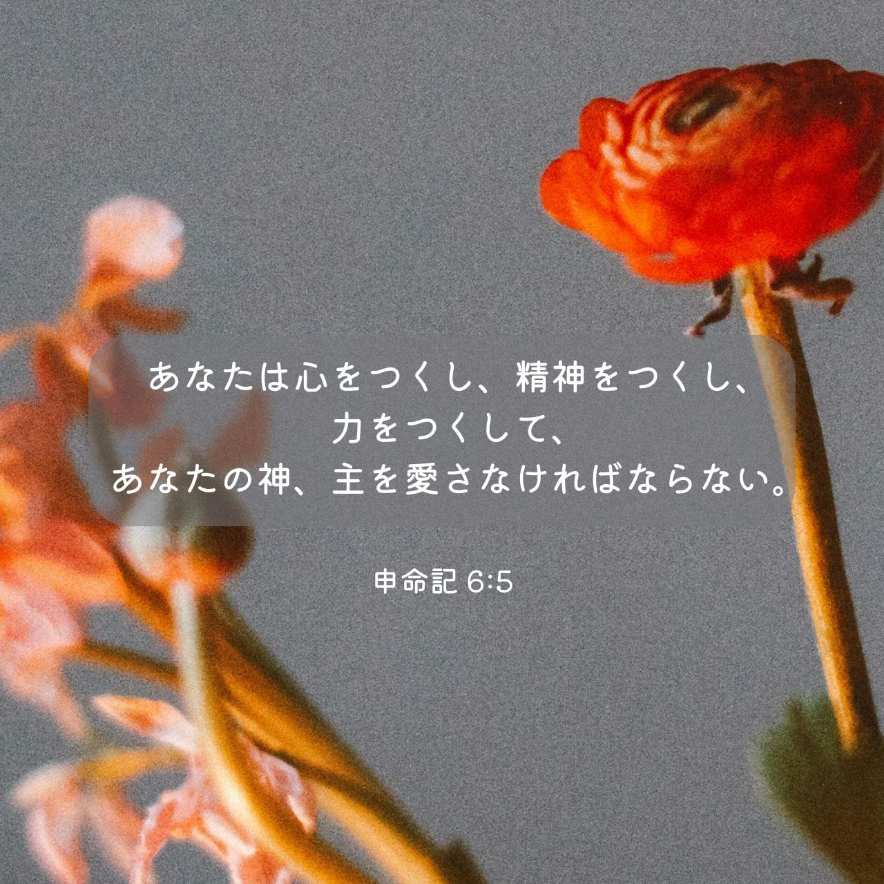 1280x1280.jpg