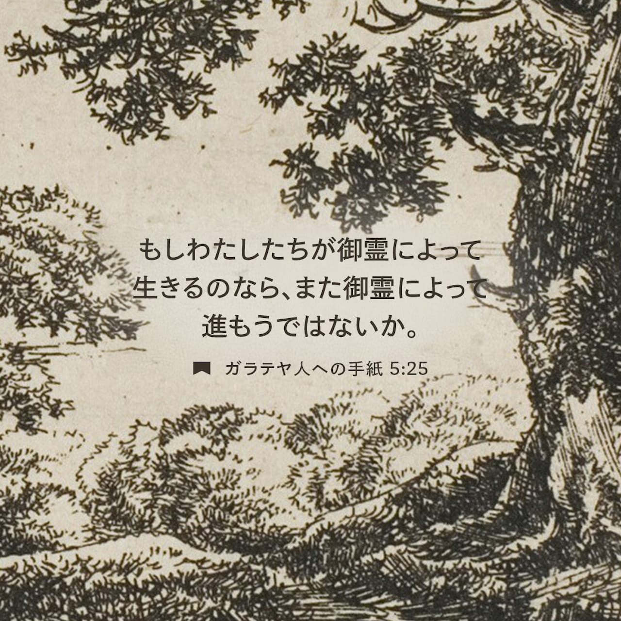 1280x1280.jpg