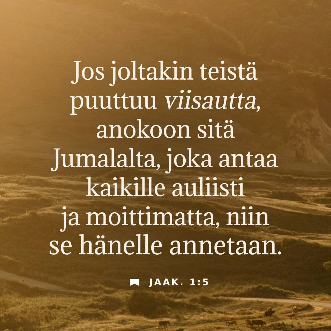 Jinsiy aloqa qin ichidan olingan