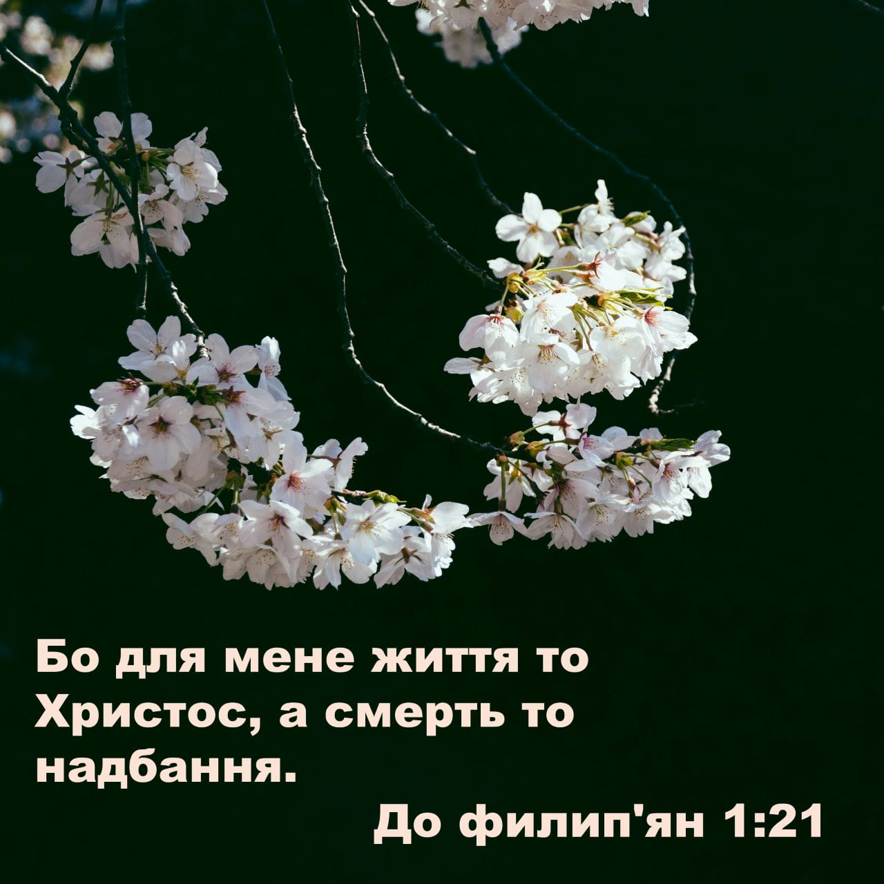 Сергей Лазарев және оның үлкен мүшесі Мұғалім мен студенттердің порно видеосы