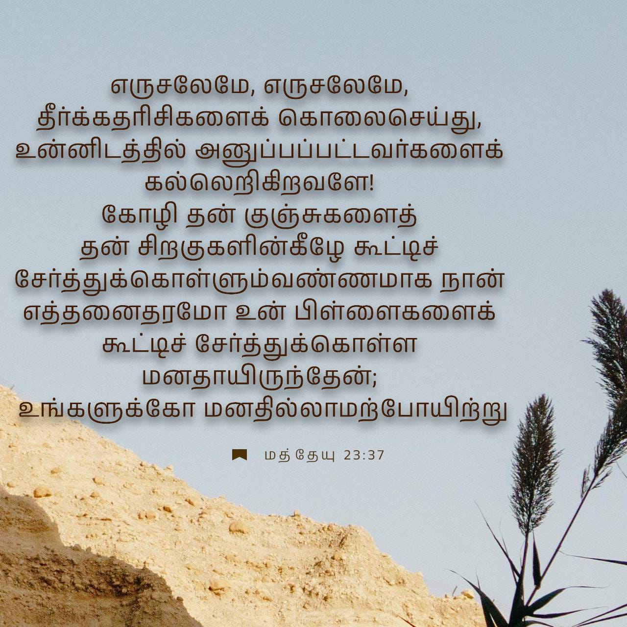 Men mushuk teshigimni topa olmayapman Men mushuk teshigimni topa olmayapman