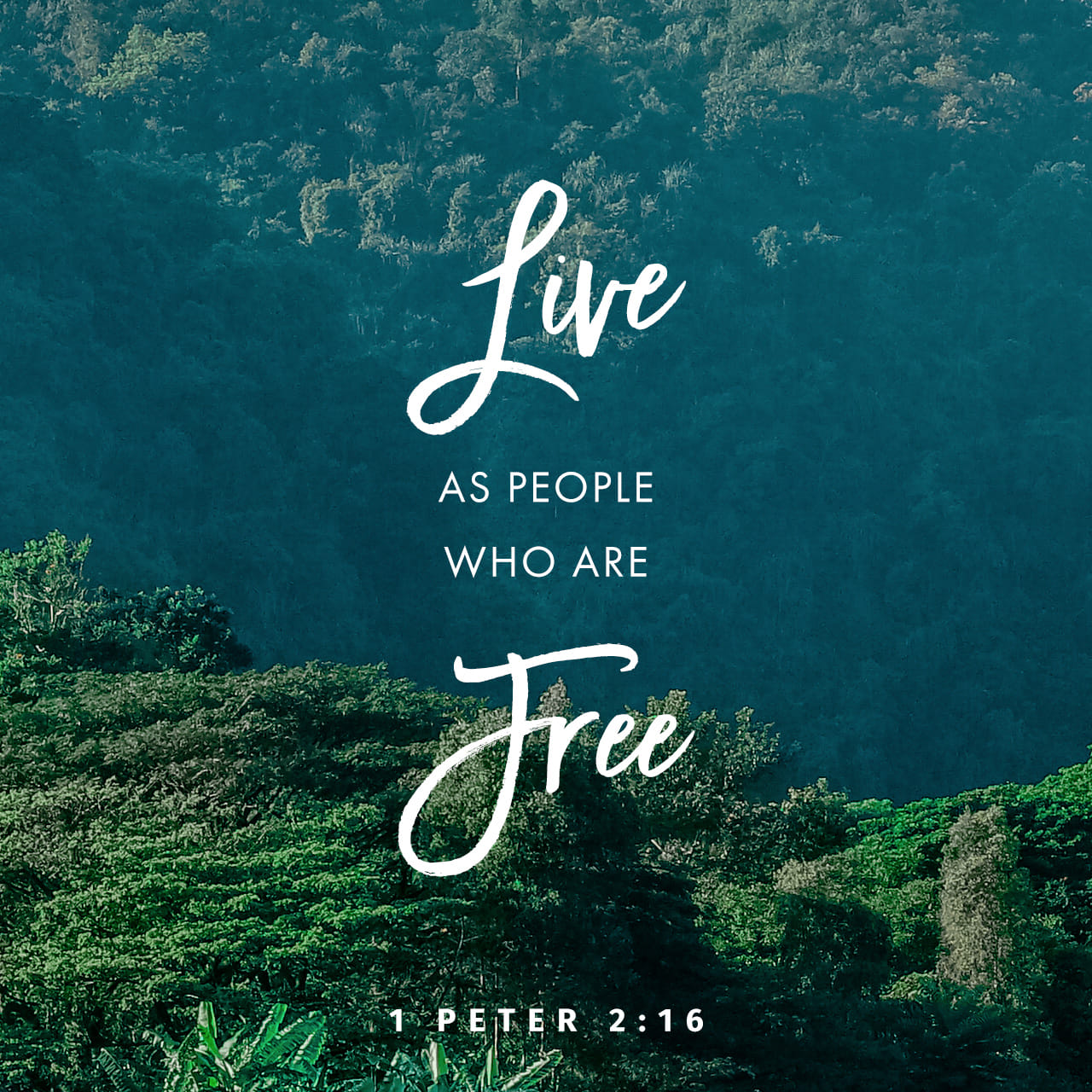 1 Peter 2 15 For It Is God s Will That By Doing Good You Should Silence 
