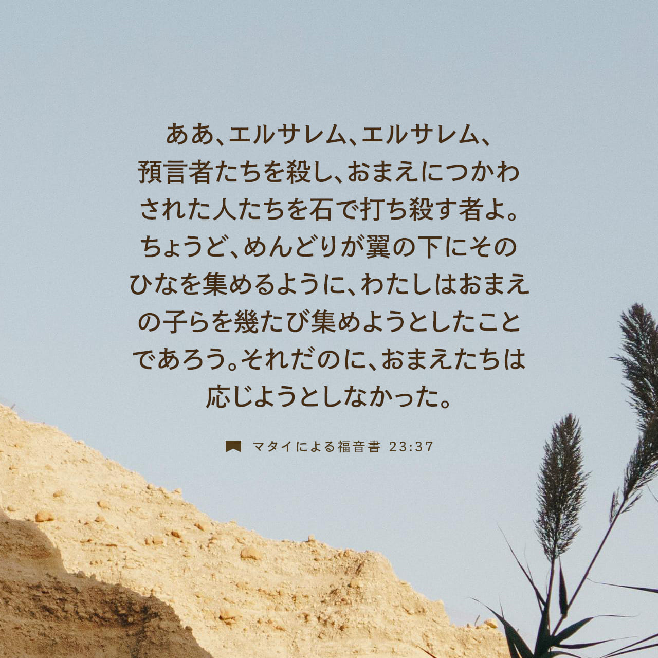 聖書 モファット訳 七十人訳ギリシア語聖書 モーセ五書』（秦 剛平）｜講談社