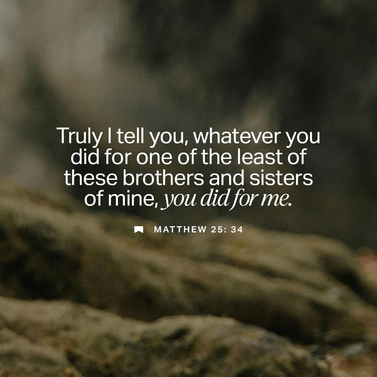 Matthew 25:40 And the King shall answer and say unto them, Verily ...