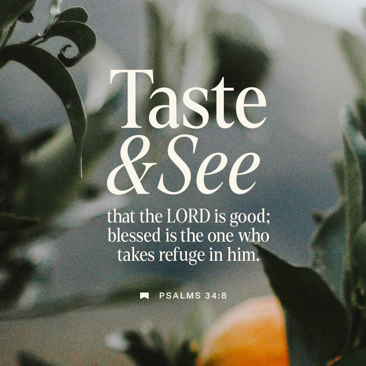 Psalms 34:7-9 GOD's angel sets up a circle of protection around us while we  pray. Open your mouth and taste, open your eyes and see— how good GOD is.  Blessed are you