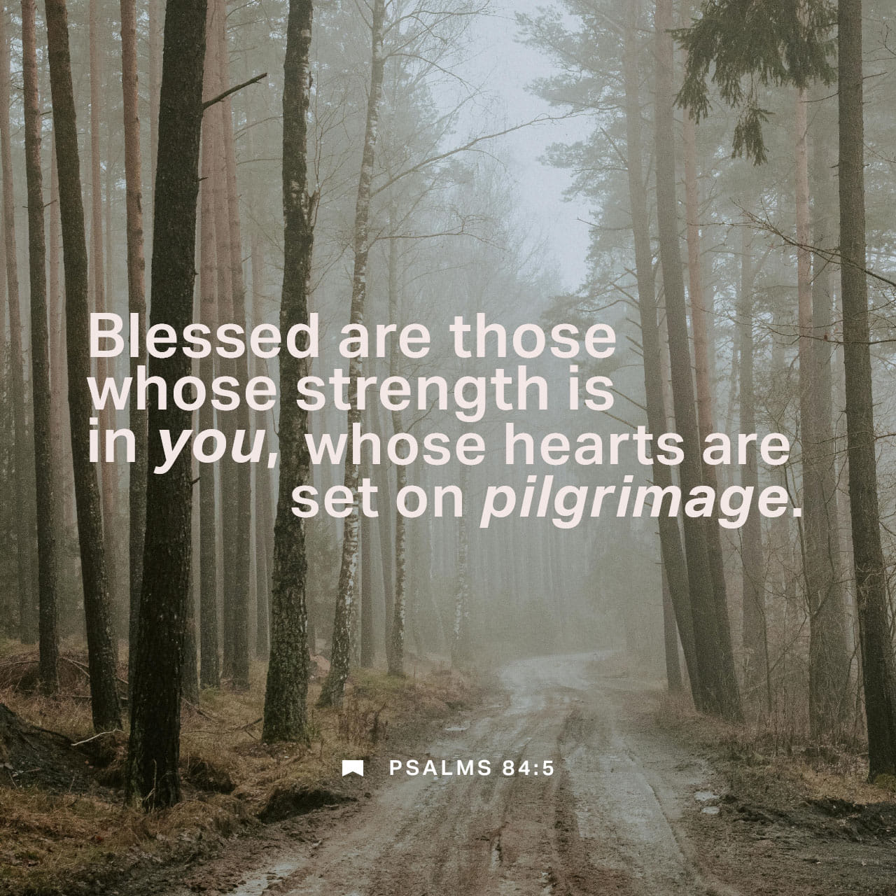 Psalms 84:5-7 ¶Blessed and greatly favored is the man whose