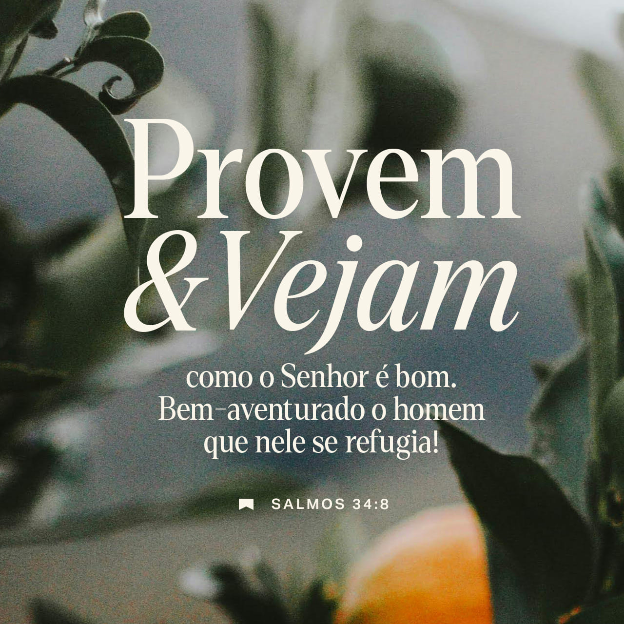 Salmos 34:8-14 (ARC) - Provai e vede que o SENHOR é bom; b | YouVersion