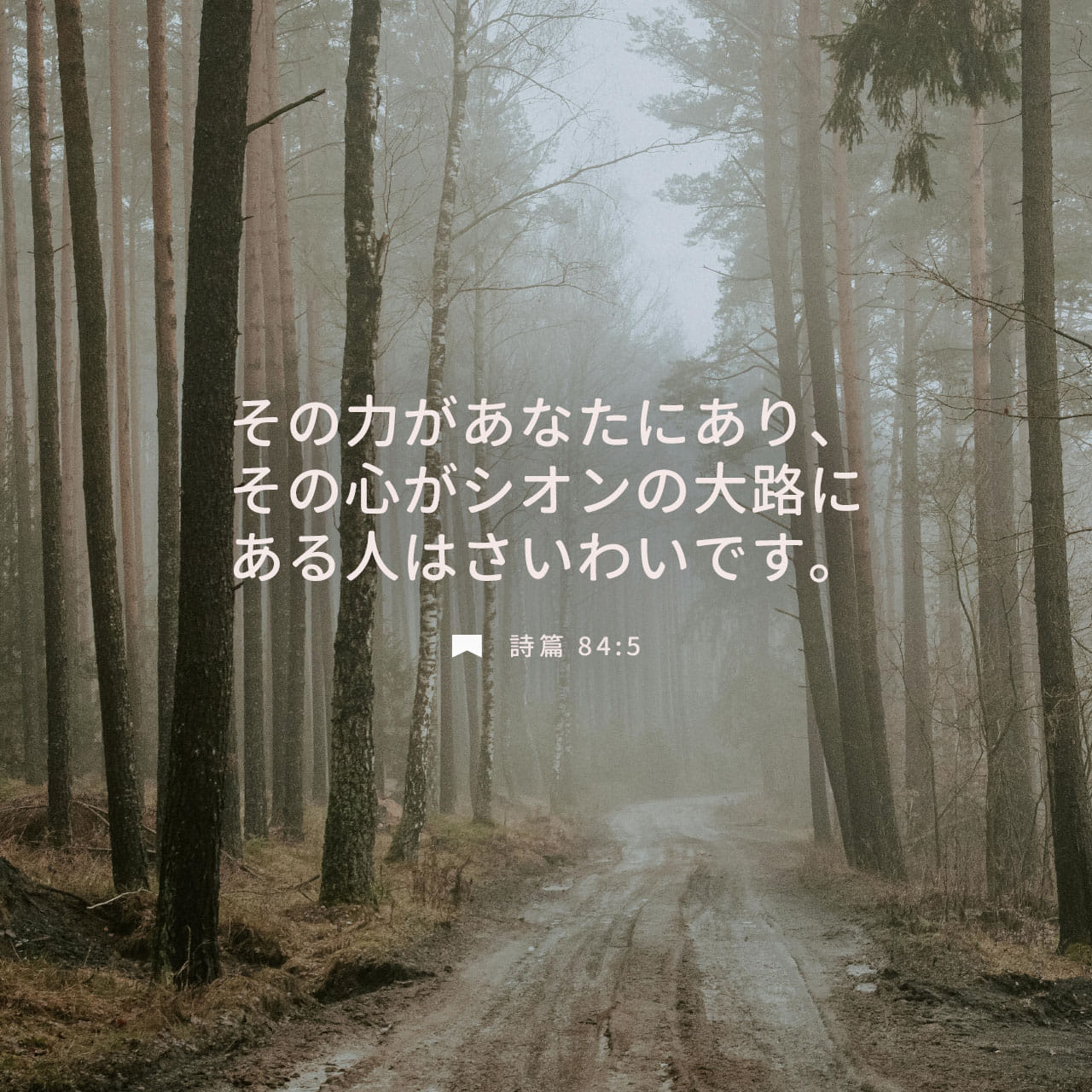 神の詩 : サイババが語る「さとり」への道 神の詩―サイババが語る「さとり」への道 | サティア サイババ