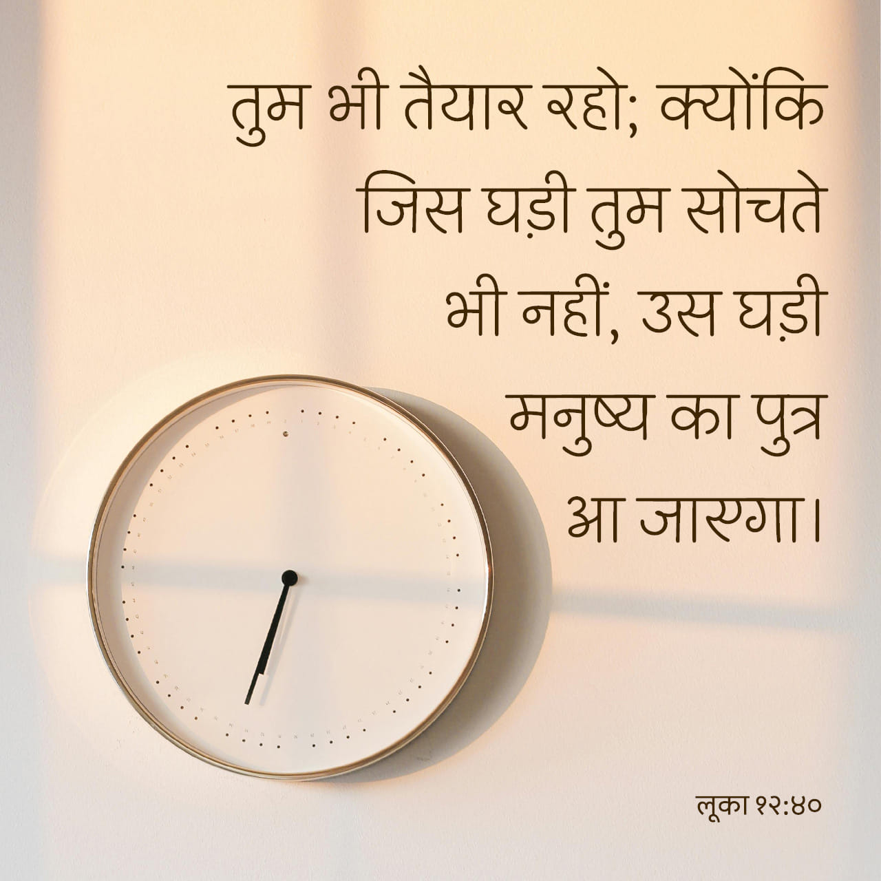 🌼 मेरा बगीचा 🌸 - ShareChat