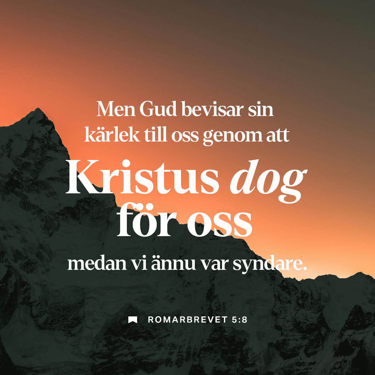 Men tasodifan hammomda kimnidir sorib oldim.