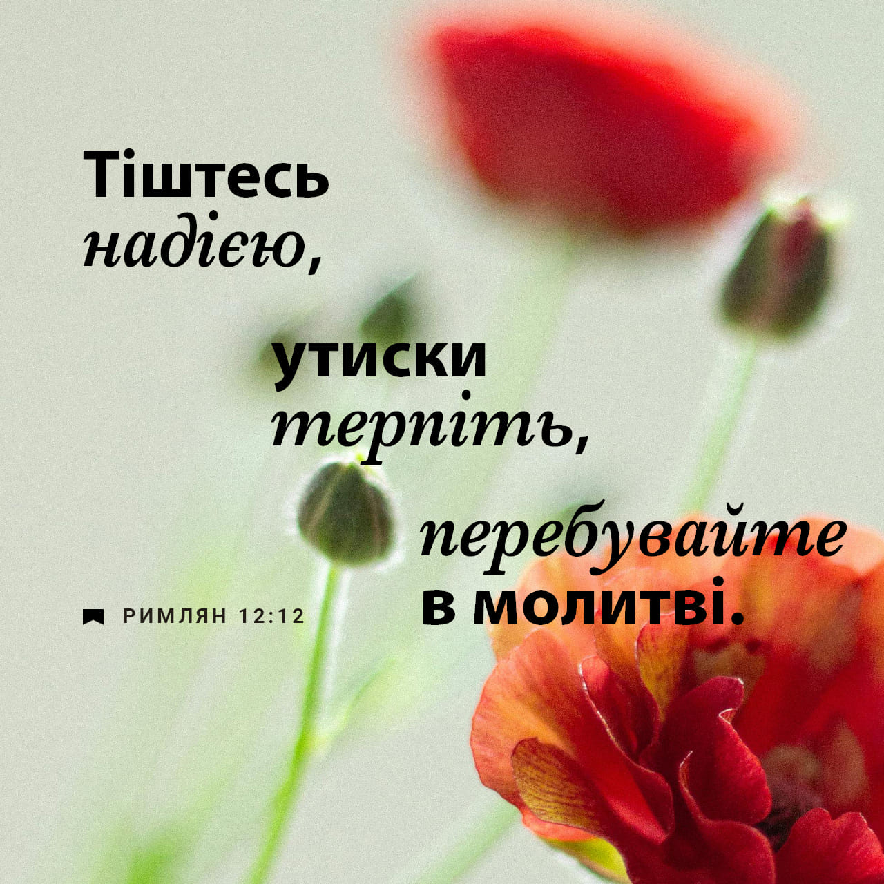 Түрме эротикасы ескі фильм