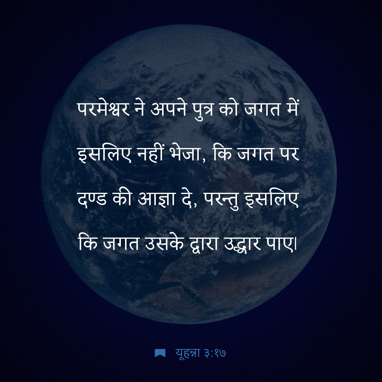 🌼 मेरा बगीचा 🌸 - ShareChat