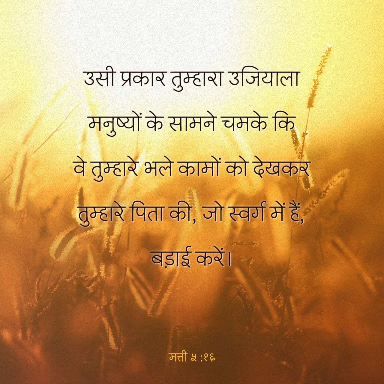 ✝प्रसिद्ध चर्च⛪ - ShareChat