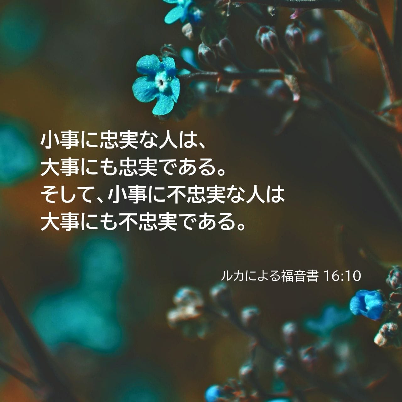 自己紹介文必読お願いします！！Y☆Fガリャルダ 自己紹介文必読お願い