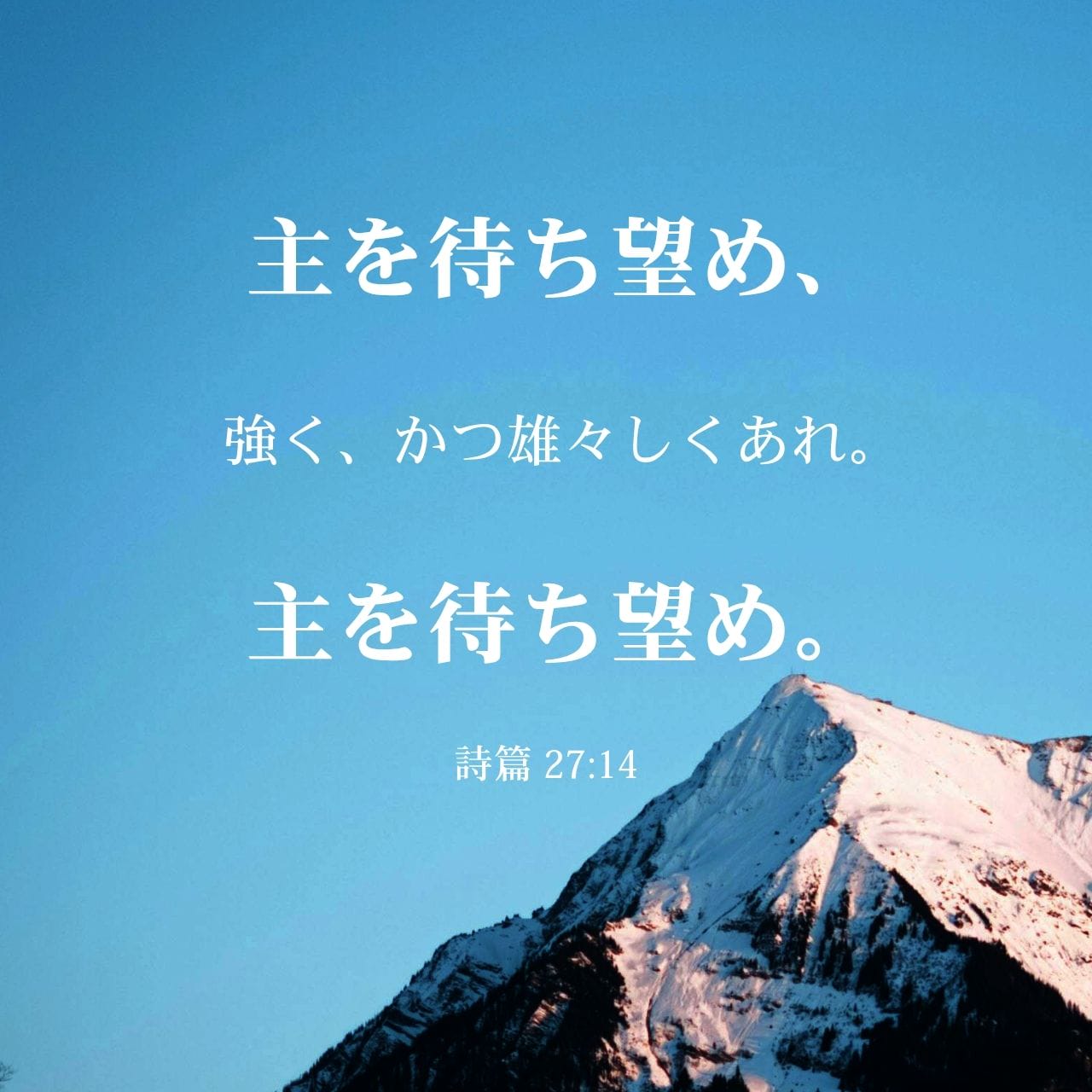 詩篇 27:13-14 (JA1955) - わたしは信じます、生ける者の地でわたしは
