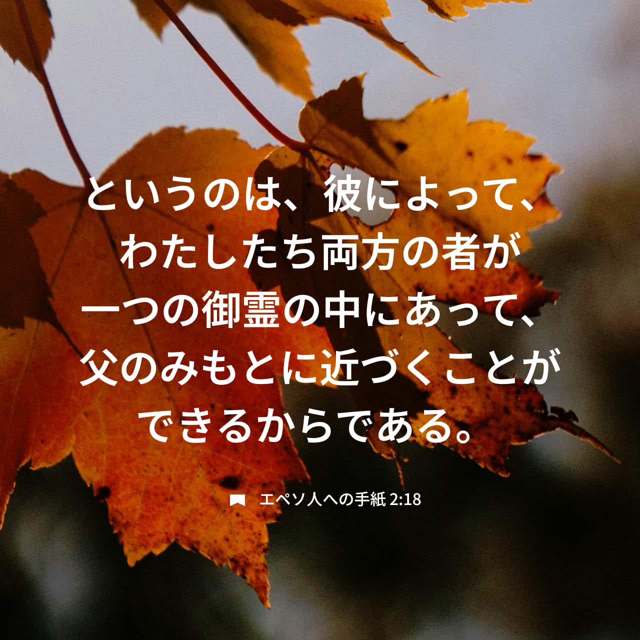 エフェソの信徒への手紙 2:18 (新共同訳) - それで、このキリスト 