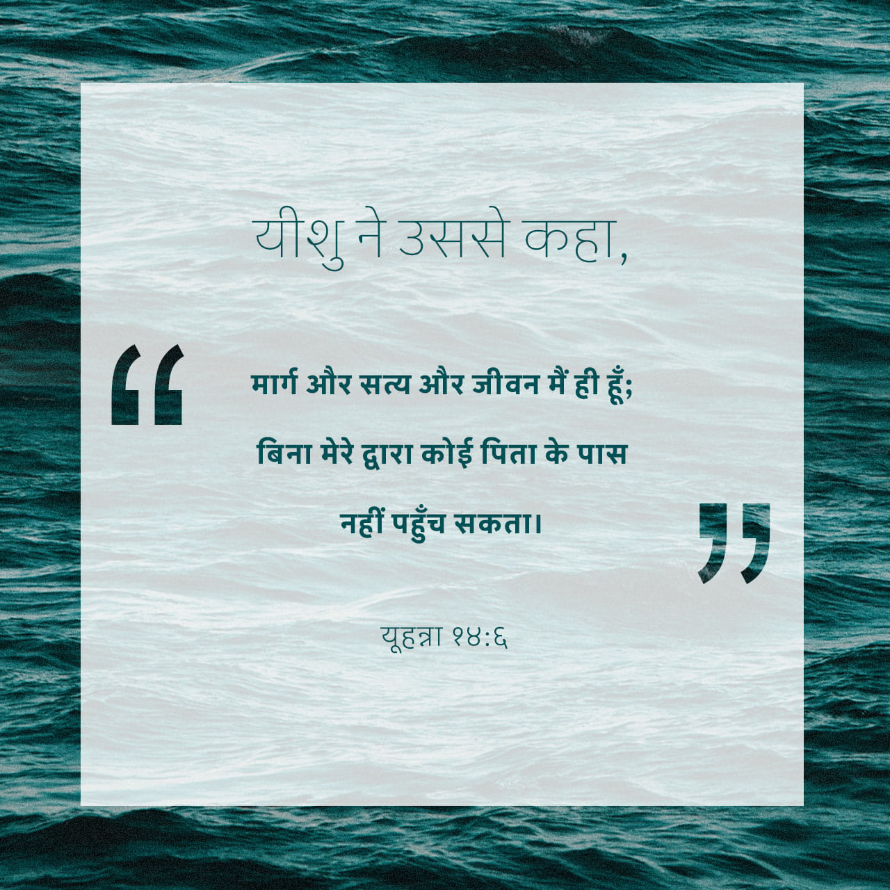 🌼 मेरा बगीचा 🌸 - ShareChat