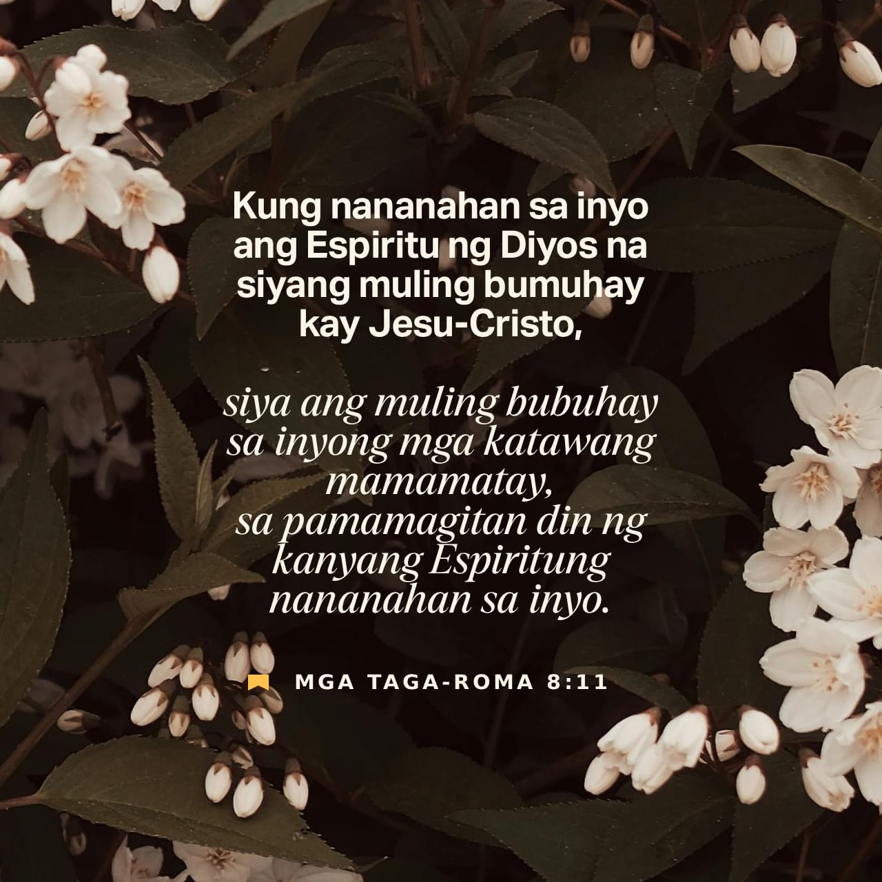 Yaoi porno videolarni tomosha qiling