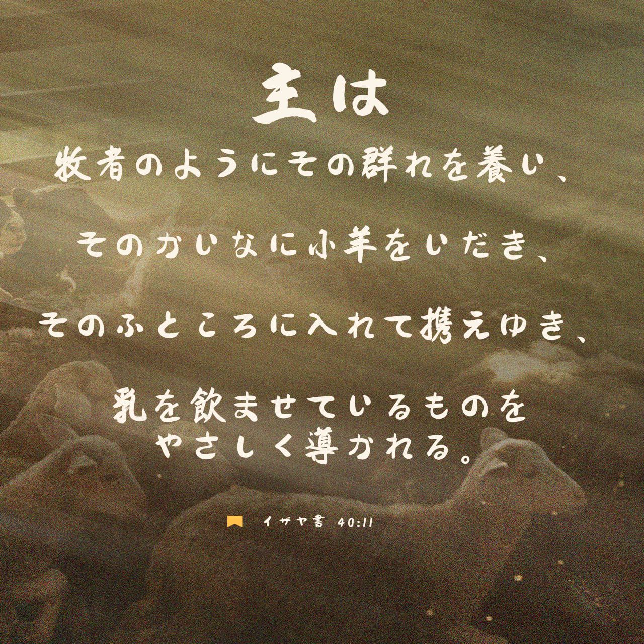 イザヤ書 40:10-12 - Compare All Versions | YouVersion