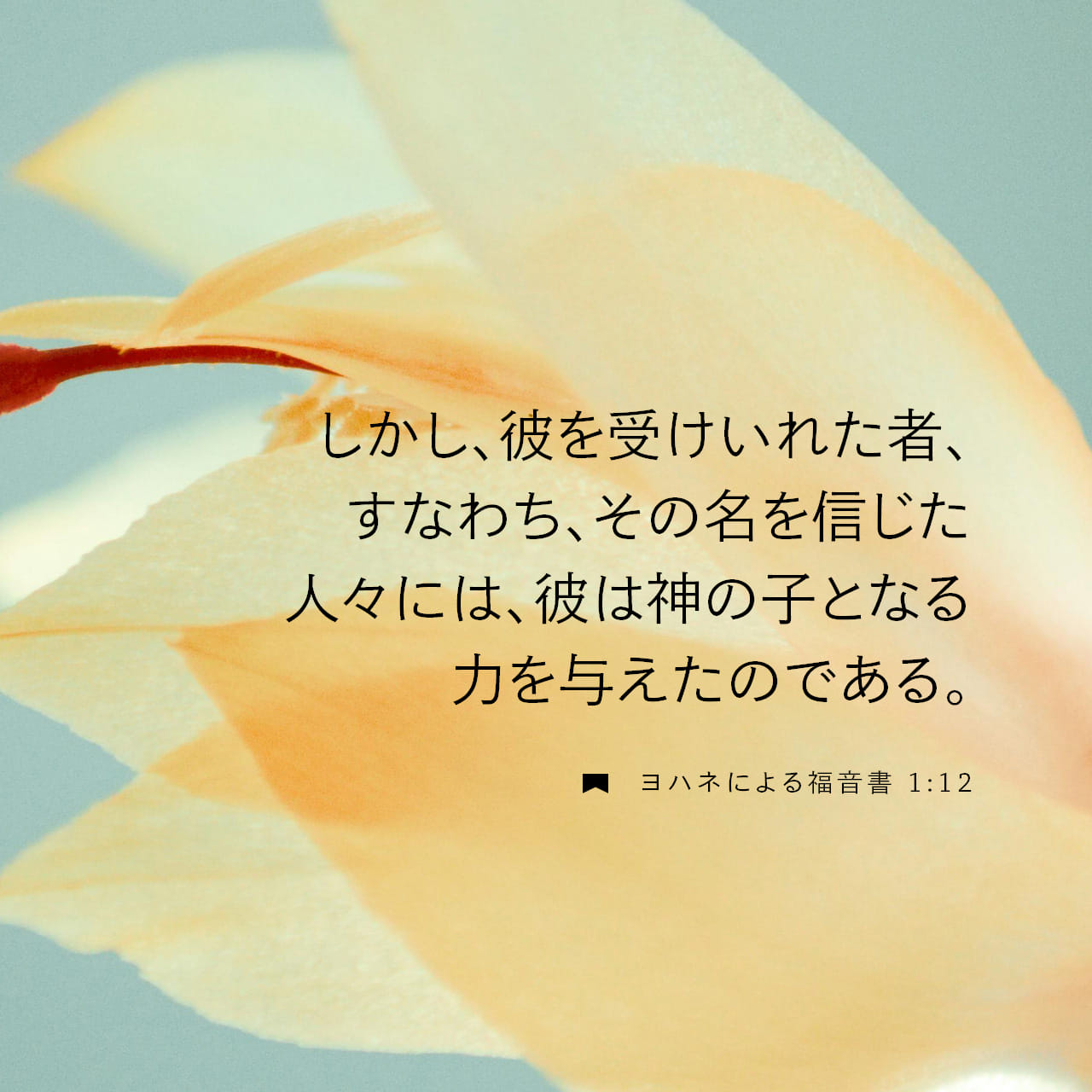 ヨハネによる福音書 1:12 しかし、彼を受けいれた者、すなわち、その名