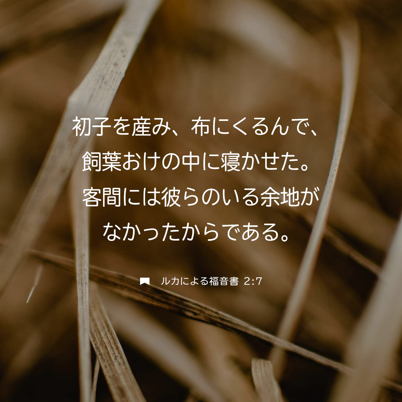 ルカによる福音書 2:7 (新共同訳) - 初めての子を産み、布にくるんで