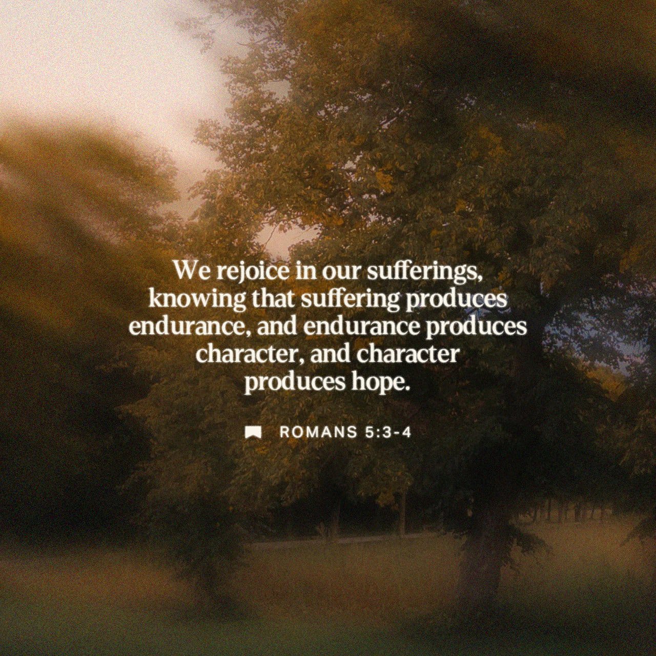 Romans 5:3-5, 11 (TPT) - But that’s not all! Even in times o | YouVersion