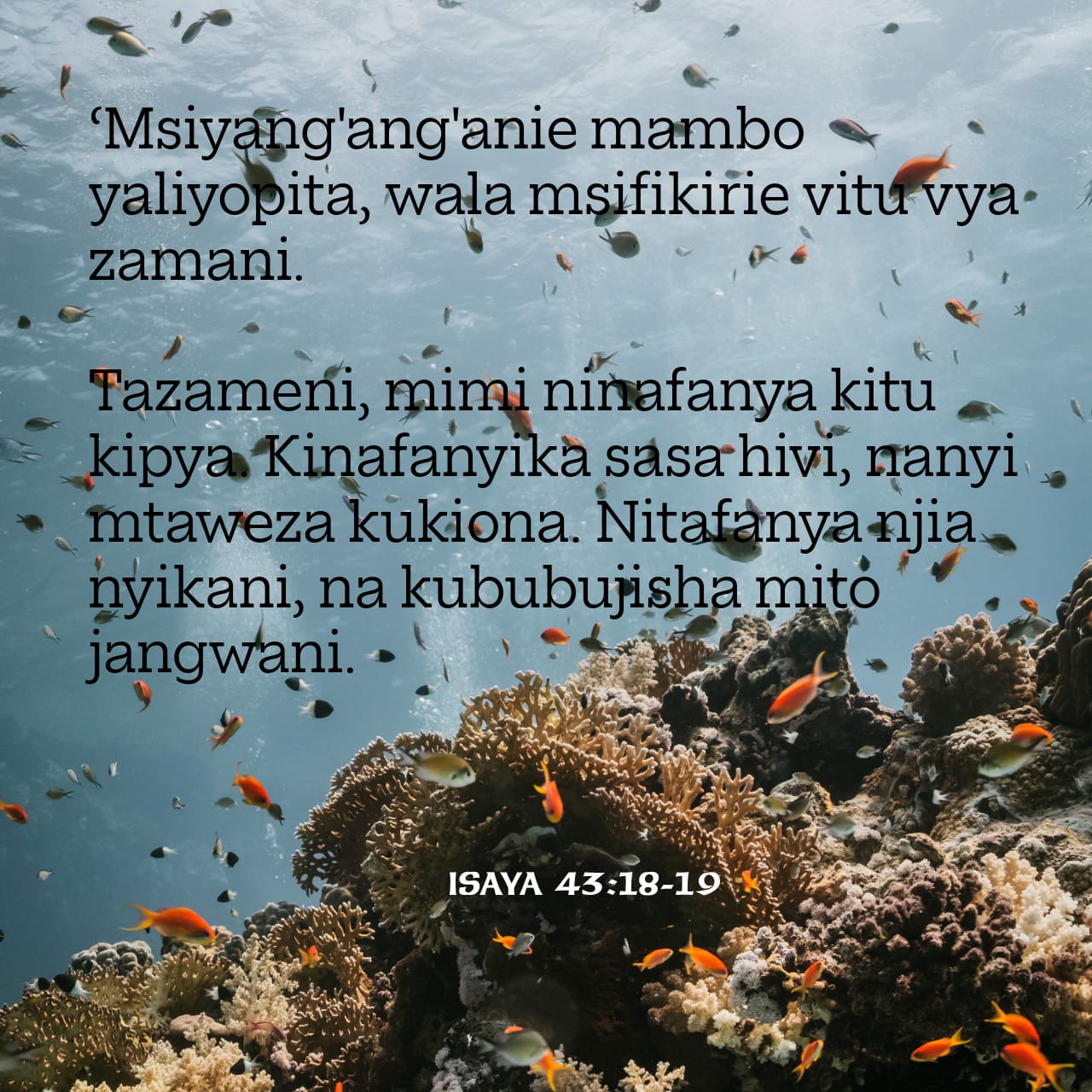 Isaya 43:18-19 (BHN) - 'Msiyanganganie mambo yaliyopita, w