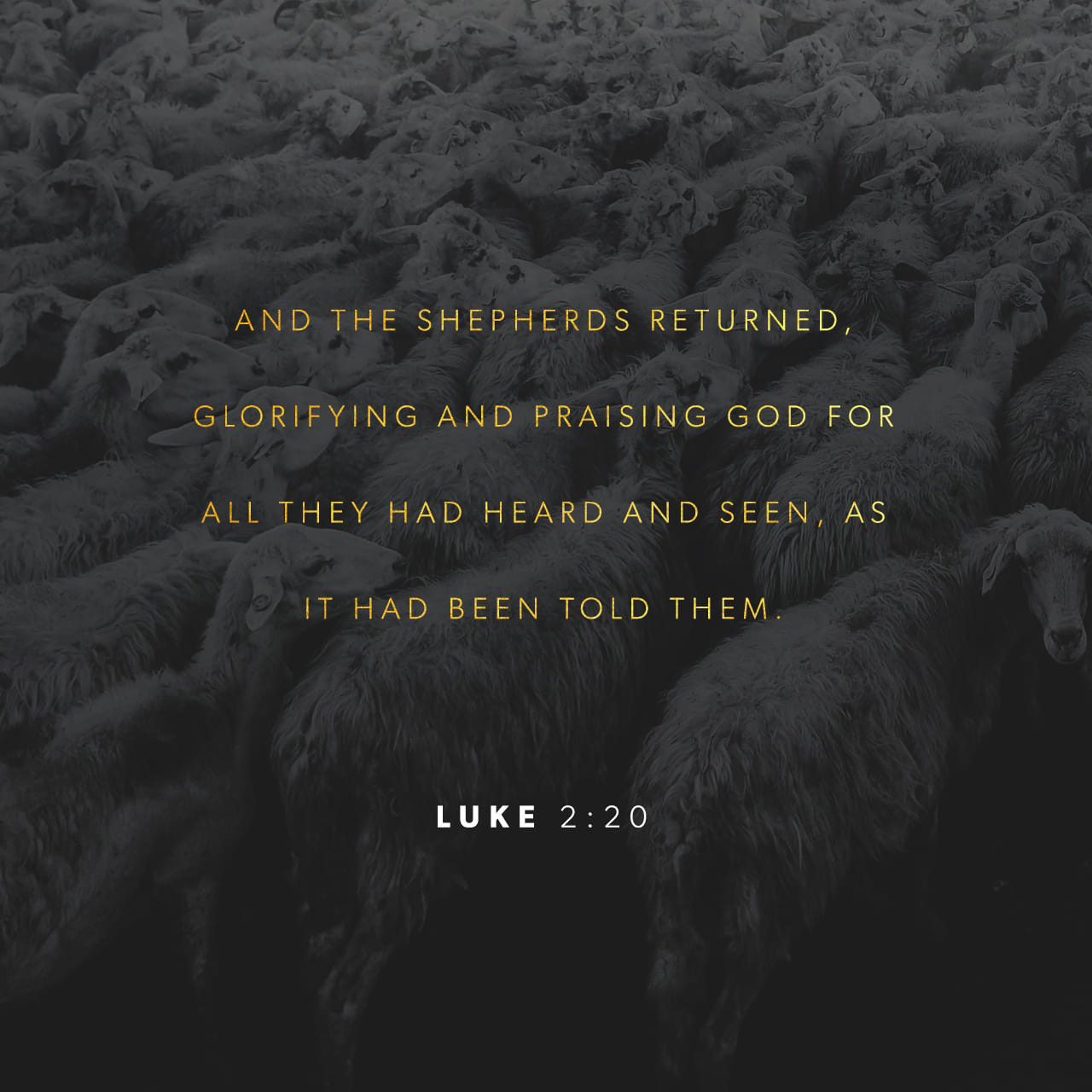 Luke 2 15 20 And It Came To Pass As The Angels Were Gone Away From 