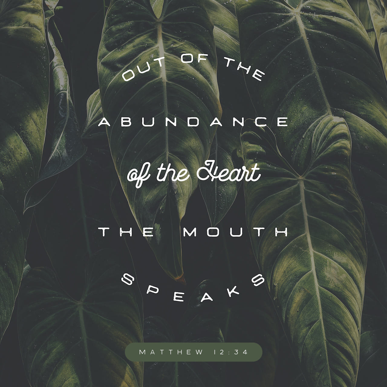 Matthew 12:34 O generation of vipers, how can ye, being evil, speak good things?
 for out of the abundance of the heart the mouth speaketh. | King James Version (KJV) | Download