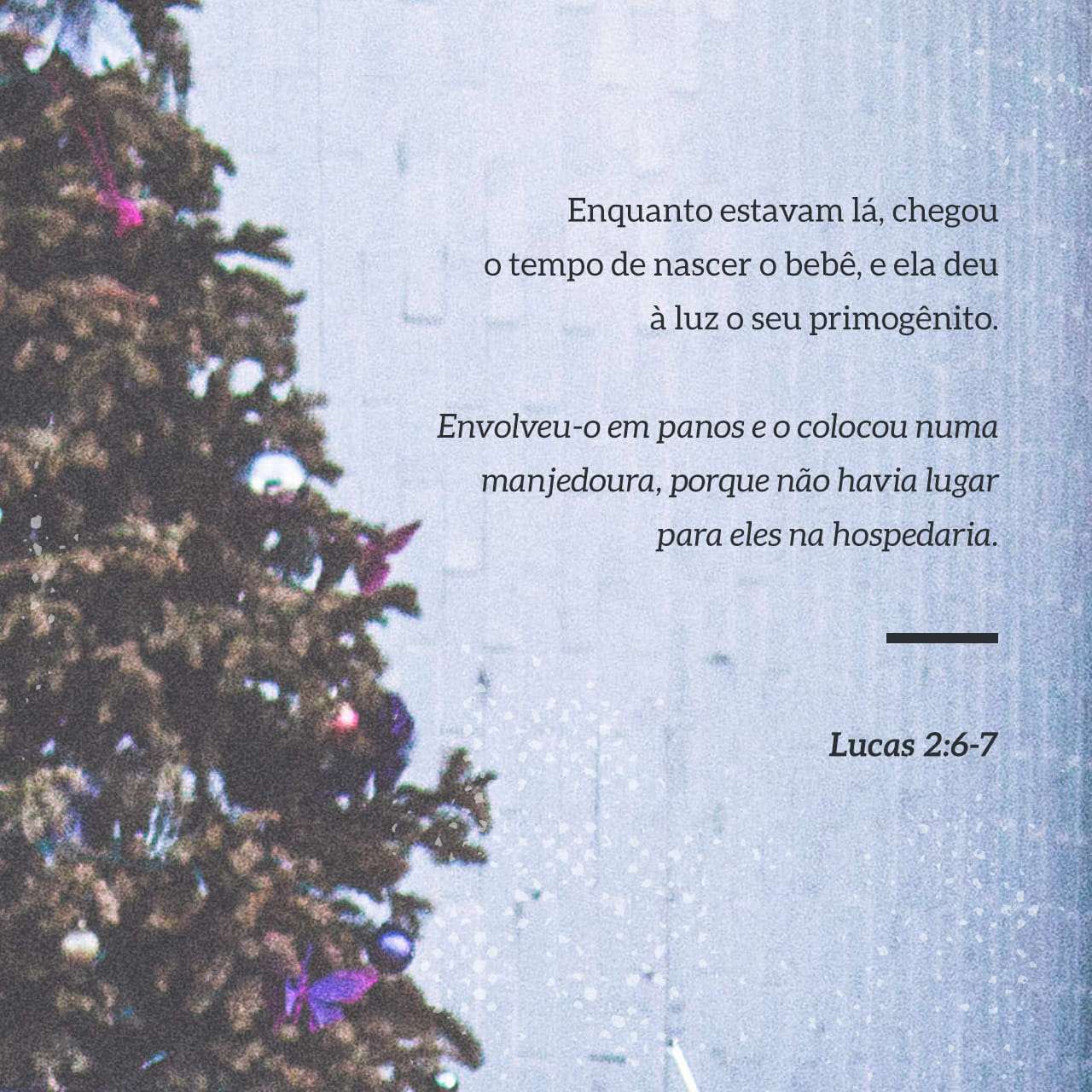 Lucas 2:7 (NTLH) - Então Maria deu à luz o seu primeir | YouVersion