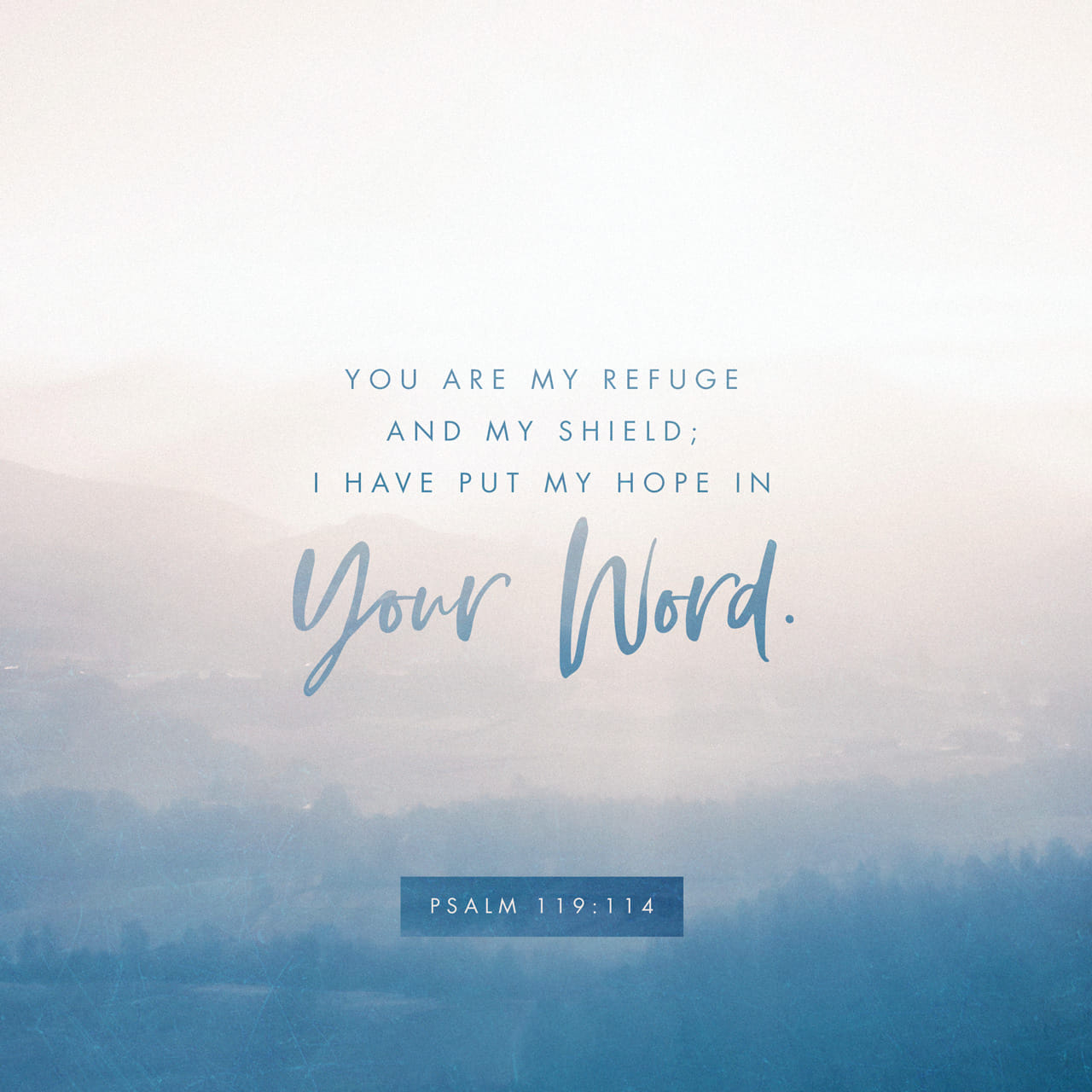 Psalms 119:114 You are my refuge and my shield; I have put my hope in ...