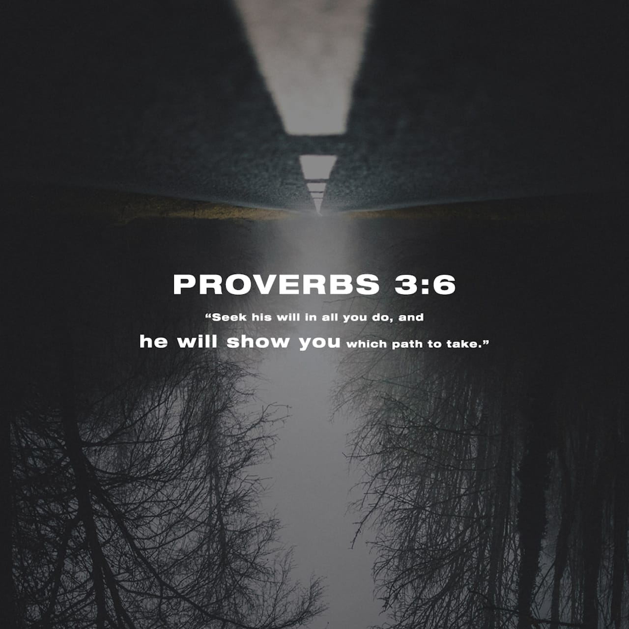 Proverbs 3 5 6 Trust In The LORD With All Thine Heart And Lean Not 