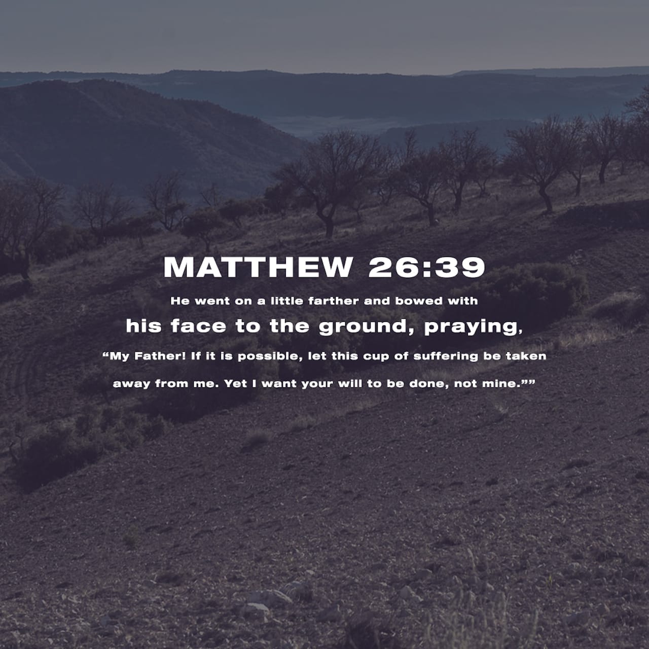 Matthew 26 39 And He Went A Little Further And Fell On His Face And 