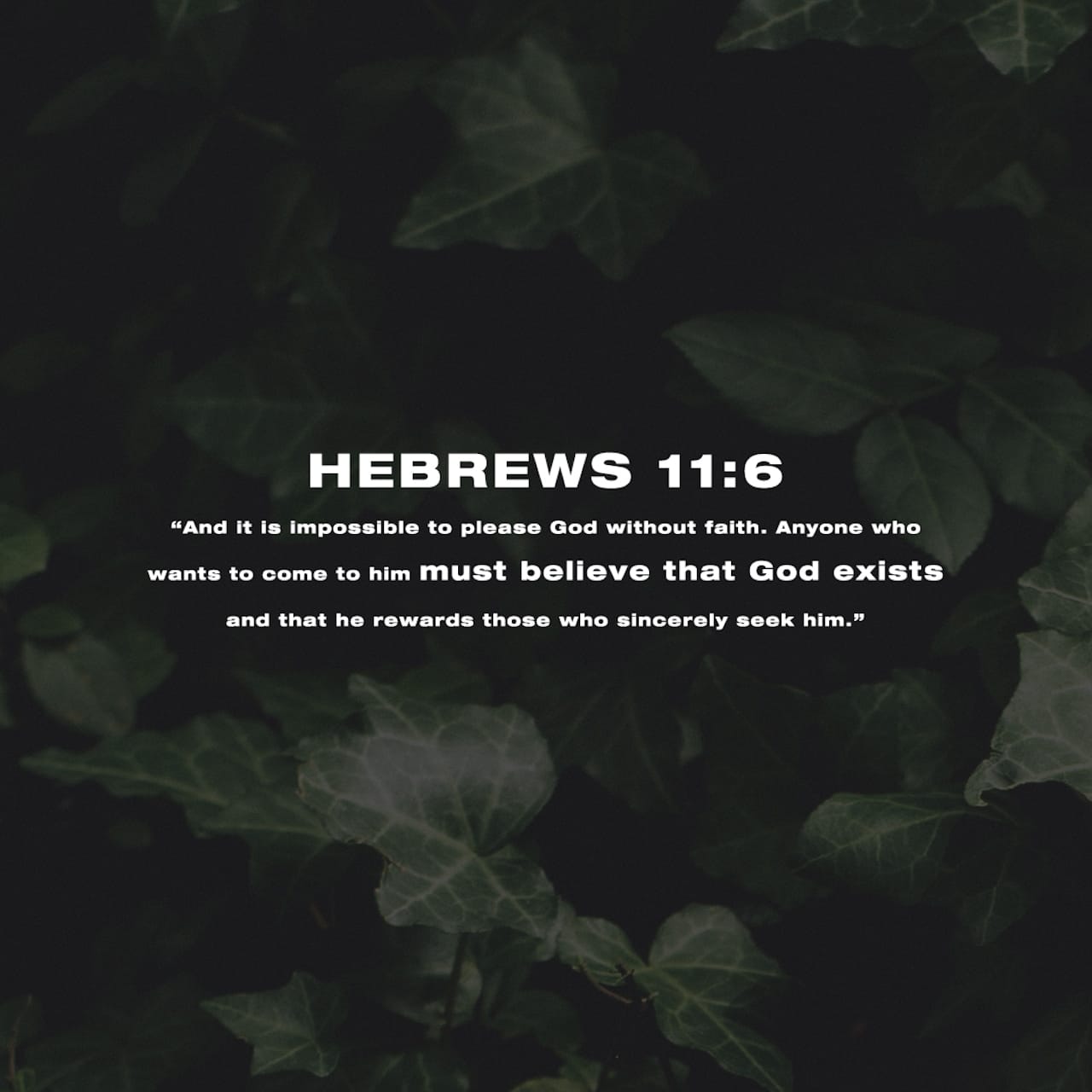 God Is A Rewarder Of Those Scripture Bible