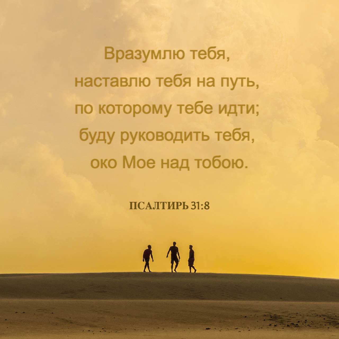 Тормозной путь удивил всю семью - Супер Демотиваторы - Подборка лучших демотиваторов сети