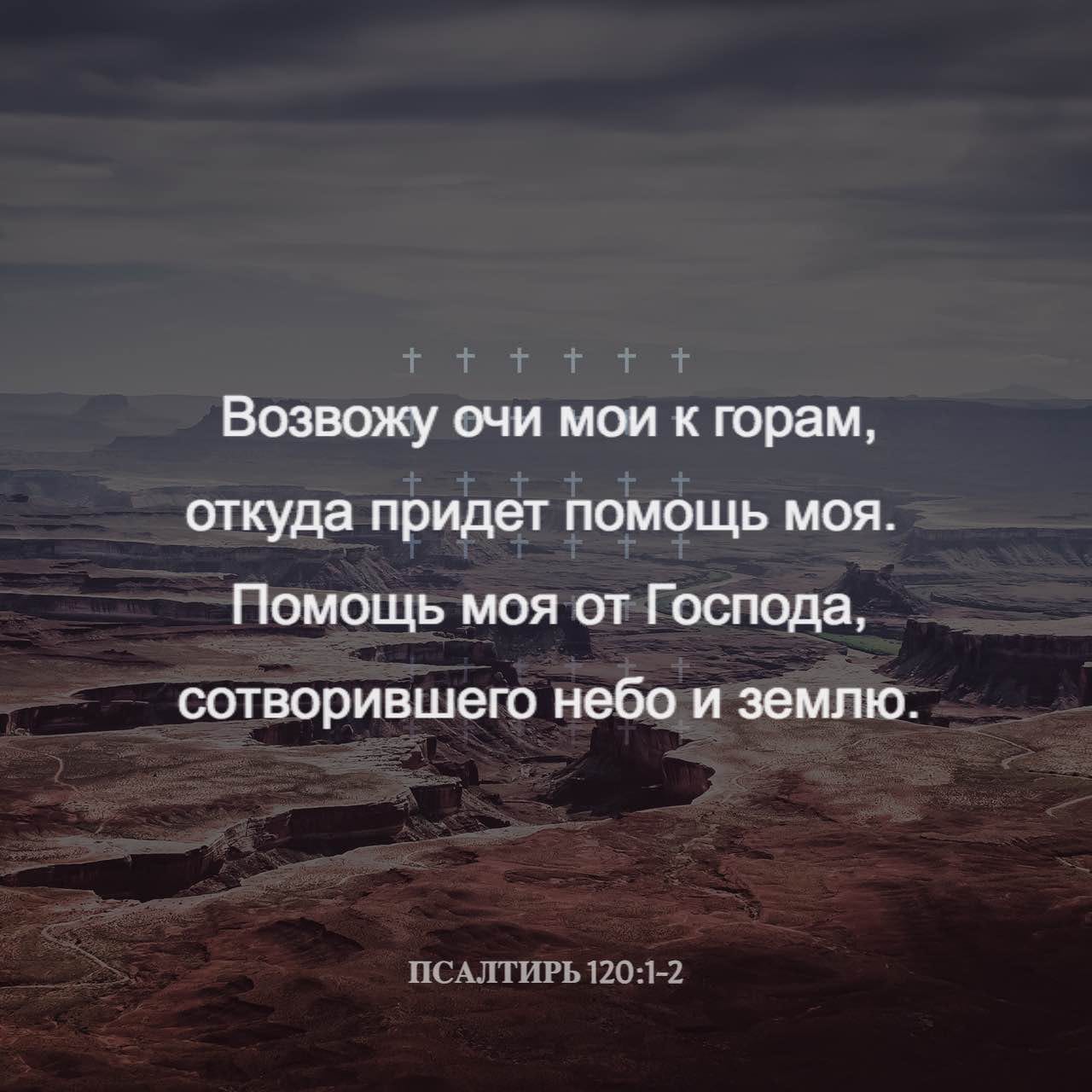 Псалтирь 121:1 Возрадовался я, когда сказали мне: «пойдем в дом Господень».  | Синодальный перевод (СИНОД) | Загрузите приложение Библия уже сейчас