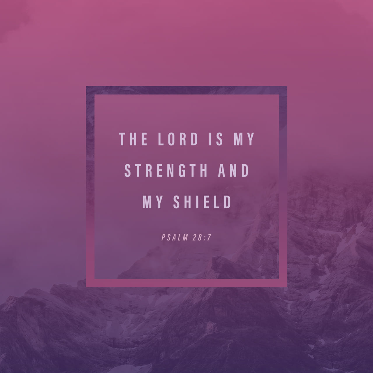 psalms-28-7-the-lord-is-my-strength-and-my-shield-my-heart-trusted-in