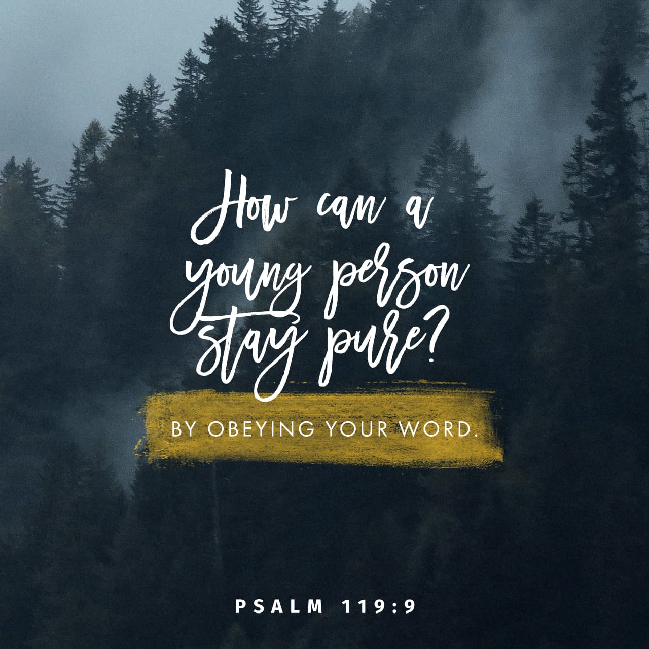 Psalms 119 9 How Can A Young Person Stay On The Path Of Purity By 