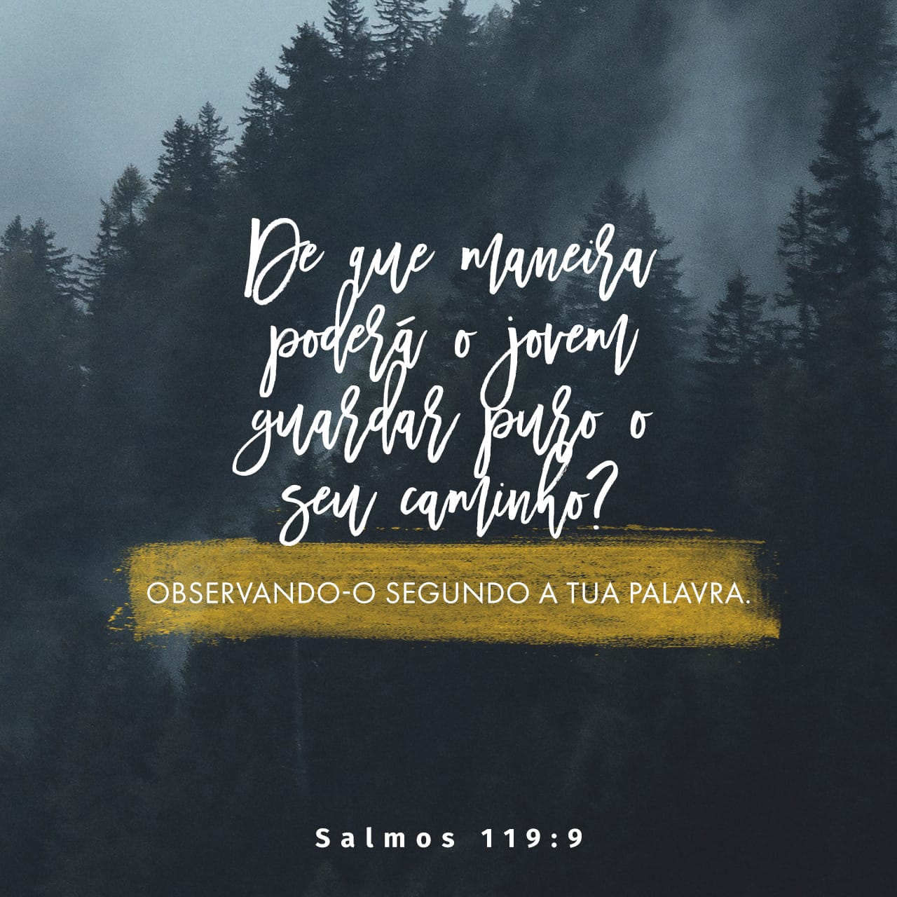 Salmos 119:9-11 De Que Maneira Poderá O Jovem Guardar Puro O Seu 