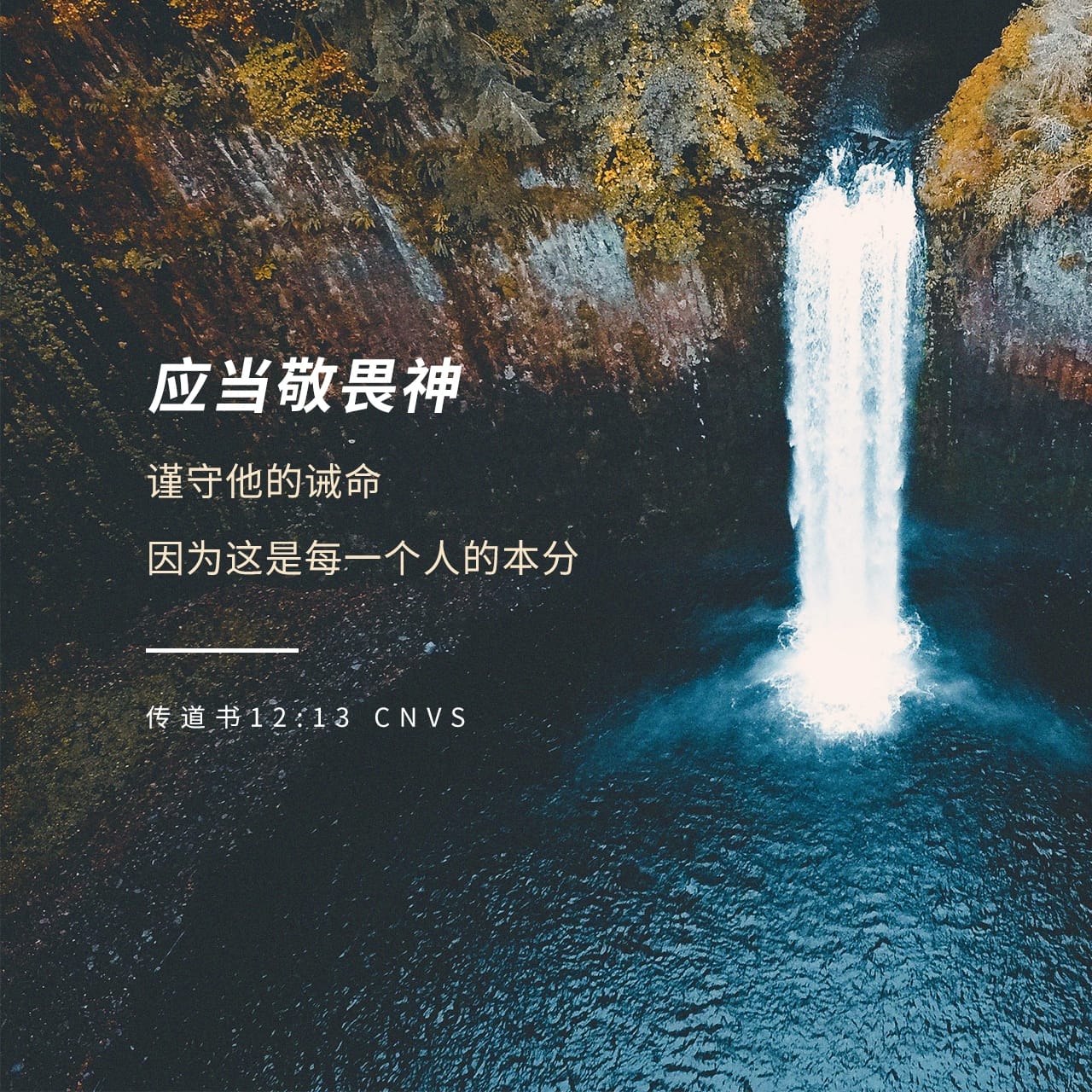 今日经文| YouVersion